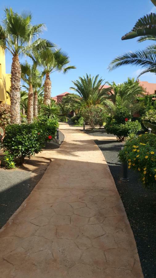Appartamento Spagnolo Oasis Tamarindo Corralejo Exterior foto
