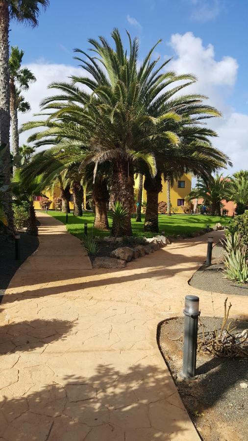 Appartamento Spagnolo Oasis Tamarindo Corralejo Exterior foto